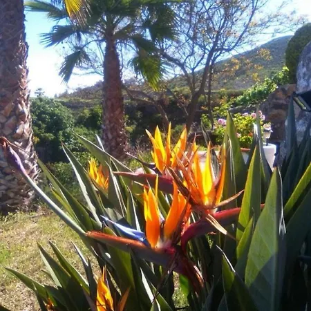 Holiday home La Casita Ma Petite Folie Tenerife *