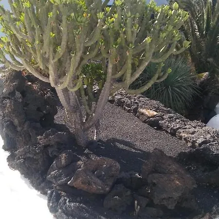 La Casita Ma Petite Folie Tenerife